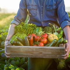 Chiết xuất thực vật hữu cơ